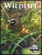 Wildlife in North Carolina, March 2005